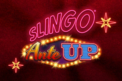 08077 slingo ante up