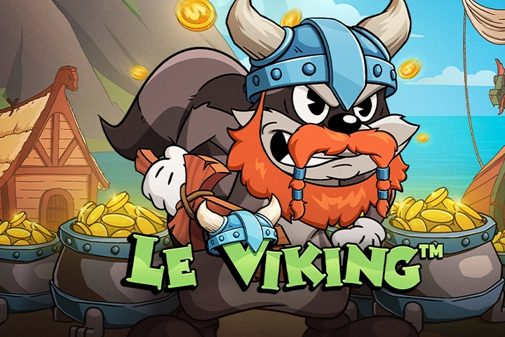 09858 le viking