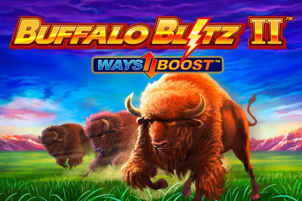 17116 buffalo blitz 2