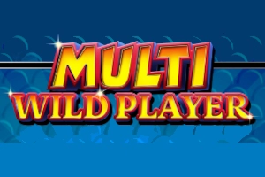 23197 multi wild player